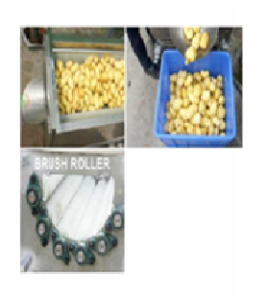 mesin-brush-roller-roof-fruit-washer-maksindomakassar