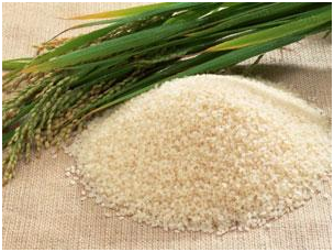 Mesin-Rice-Huller-Mini-Pengupas-Gabah-Beras-AGR-RM40-1