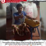 Lancar Barokah Abadi : Usaha Semakin Lancar Dengan Mesin Pemipil Jagung Maksindo